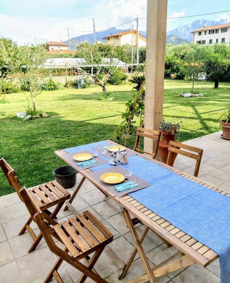 Agriturismo La Vite Maritata 피에트라산타 외부 사진