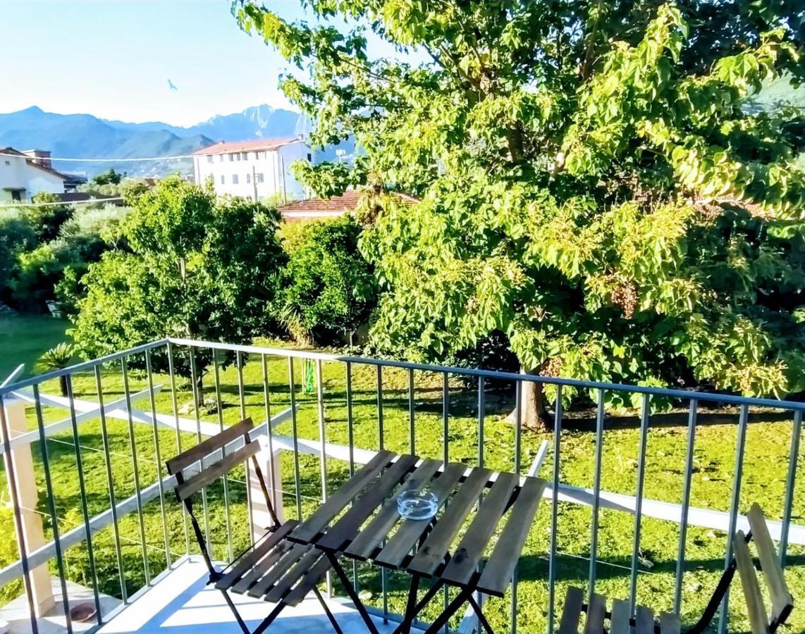 Agriturismo La Vite Maritata 피에트라산타 외부 사진