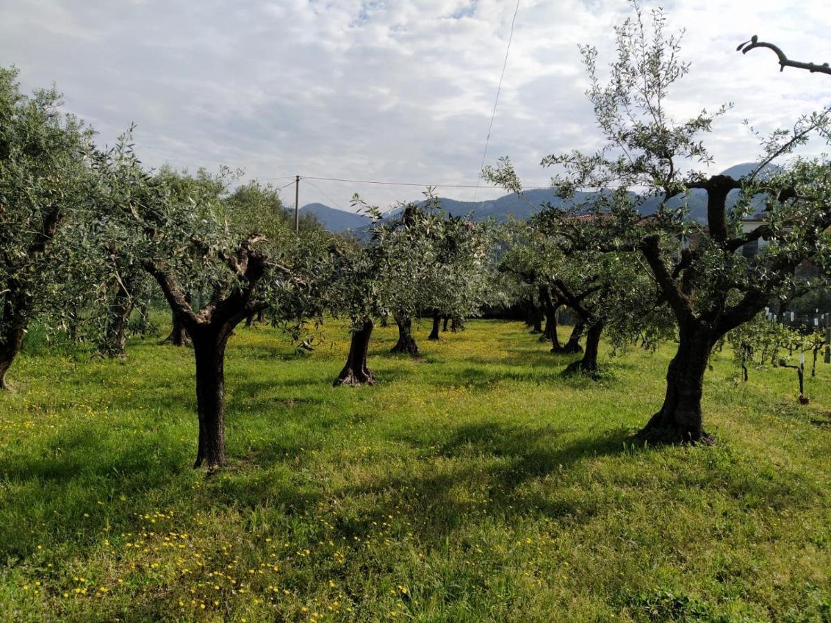 Agriturismo La Vite Maritata 피에트라산타 외부 사진