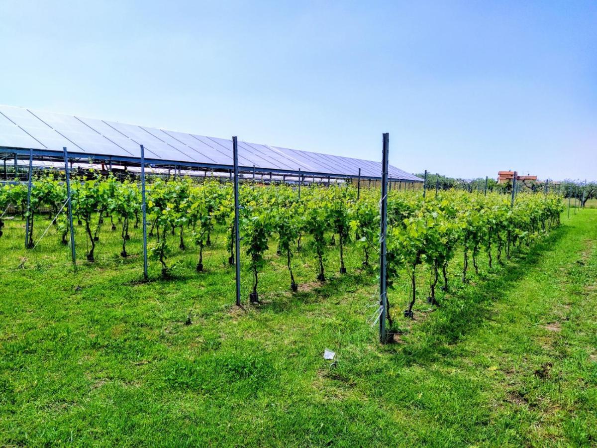 Agriturismo La Vite Maritata 피에트라산타 외부 사진